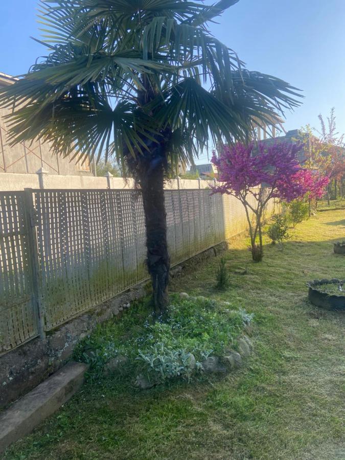 Luka Family Guest House 巴统 外观 照片